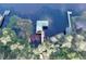 Aerial view of a boathouse on the lake, surrounded by trees and vegetation at 19529 Dorr Rd, Altoona, FL 32702