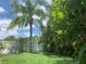 Green backyard with manicured grass and tropical foliage at 14421 Hatchee Ct, Orlando, FL 32837