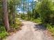 A winding dirt driveway leads up to the home in a natural, wooded setting at 1775 Sundance Dr, St Cloud, FL 34771
