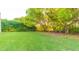 Expansive green backyard with mature trees and privacy hedging, perfect for outdoor activities at 1380 E Lake Shore Blvd, Kissimmee, FL 34744