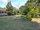 Spacious backyard with fruit trees and grassy area at 32122 Hickory Ln, Sorrento, FL 32776