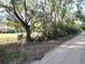 Long dirt road leading to property entrance at 32122 Hickory Ln, Sorrento, FL 32776