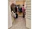 Walk-in closet with ample hanging space and shelving, perfect for organized storage at 319 Celebration Blvd, Celebration, FL 34747