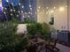 Charming outdoor patio area enhanced by string lights, potted plants, and comfortable seating at 319 Celebration Blvd, Celebration, FL 34747