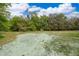 The backyard is overgrown with weeds and tall trees and has a blue sky above at 2507 Monaco Cove Cir, Orlando, FL 32825