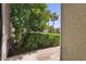 View from patio, showcasing lush landscaping, palm trees, and community buildings at 544 Orange Dr # 10, Altamonte Springs, FL 32701