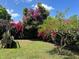 A large backyard space accented by colorful flowering trees and greenery at 112 10Th St, St Cloud, FL 34769