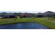 Scenic view of the home's backyard from the lake, offering privacy and a tranquil water view at 3960 Steer Beach Pl, Kissimmee, FL 34746