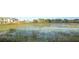 A tranquil lake view with aquatic plants and marshy borders is framed by neighborhood homes and verdant trees at 13193 Tollcross Way, Winter Garden, FL 34787