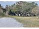 Lakeside backyard view featuring a mature tree line and a glimpse of the home at 4321 Rummell Rd, St Cloud, FL 34769