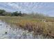 Backyard view of the lake with wildlife in natural habitat and scenic cloudscape at 4321 Rummell Rd, Saint Cloud, FL 34769