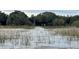 Tranquil lake view showing reeds and the backyard of the home at 4321 Rummell Rd, St Cloud, FL 34769