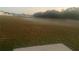 Large grassy backyard with a view of neighboring homes at 523 Royal Ridge Dr, Davenport, FL 33837