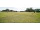 Open pastureland with cattle and oak trees in the background at 8836 Sr 471 Hwy, Webster, FL 33597
