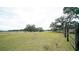 Open pasture with cattle, pond, and trees, showcasing rural landscape at 8836 Sr 471 Hwy, Webster, FL 33597