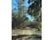 A long driveway through trees leads to a house at 2728 Adair Rd, Davenport, FL 33837