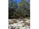 Homesite featuring beautiful mature trees creating a park-like setting and sandy soil on this spacious vacant lot at 2728 Adair Rd, Davenport, FL 33837