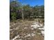 Vacant homesite, offering a blend of sandy soil and mature trees, creating a serene, nature-filled building opportunity at 2728 Adair Rd, Davenport, FL 33837