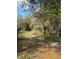 A view of the lot showing trees with a fence in the background at 2728 Adair Rd, Davenport, FL 33837