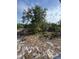 Expansive vacant lot with mature trees and sandy soil, perfect for building your dream home in a serene setting at 2728 Adair Rd, Davenport, FL 33837