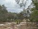 A view of the land with trees and foliage, showcasing the natural setting at 2728 Adair Rd, Davenport, FL 33837