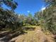 A view of the land with trees and greenery under a clear blue sky at 2728 Adair Rd, Davenport, FL 33837