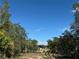 Homesite with mature trees under a bright blue sky. The lot is cleared with single Gathering homes in the distance at 2728 Adair Rd, Davenport, FL 33837
