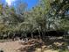 Exterior view of the property with old home remains and trees at 2728 Adair Rd, Davenport, FL 33837
