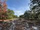 Open space lot with trees and foliage on the property at 2728 Adair Rd, Davenport, FL 33837