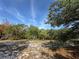 Treed lot with open space of the property at 2728 Adair Rd, Davenport, FL 33837