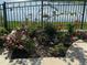 Landscaped flower garden with trees and a lake view in the backyard at 14716 Yorkshire Run Dr, Orlando, FL 32828