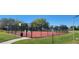 Fenced basketball court in a community, surrounded by green grass, providing residents a space for sports and recreation at 2606 Royal Fern Pl, Kissimmee, FL 34758
