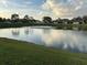 Breathtaking water view of pond with white birds clustered together on an island in the center at 98 Pine Island Cir, Kissimmee, FL 34743