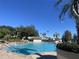 Community pool surrounded by lush landscaping and palm trees at 5062 El Destino Dr, Leesburg, FL 34748