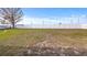 Large fenced backyard with grassy area at 450 Tamarind Parke Ln, Kissimmee, FL 34758