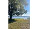Peaceful lakefront property with a large oak tree and tranquil water view at 1234 Lynwood Ave, Apopka, FL 32703