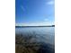 Clear shallow lake view under blue sky with lake reeds in foreground, a natural and serene waterfront setting at 1234 Lynwood Ave, Apopka, FL 32703