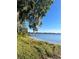 Lakeside view with a private dock and lush greenery under a sunny sky, showcasing peaceful waterfront living at 1234 Lynwood Ave, Apopka, FL 32703