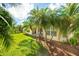 Beautiful backyard with healthy green grass and tropical palm trees at 753 Largo Pass, Poinciana, FL 34759