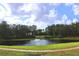 Scenic community pond with a fountain and lush landscaping under a partly cloudy sky at 8830 Dunes Ct # 12 207, Kissimmee, FL 34747