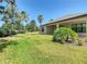 Lush backyard with green lawn, palm trees, and patio of tan house under clear sky at 195 Casavista Dr, Kissimmee, FL 34759
