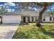 Newly renovated single-story home with a large tree and spacious yard at 1812 Corolla Ct, Deltona, FL 32738
