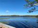 Expansive lake view with lush trees and blue sky at 3306 Sagebrush St, Harmony, FL 34773