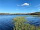 Serene lake view with lush vegetation at 3306 Sagebrush St, Harmony, FL 34773