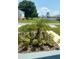 Landscaped yard with palm trees and shrubs at 932 Albertville Ct, Kissimmee, FL 34759