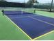 Well-maintained pickleball court at 3854 Southpointe Dr # 1, Orlando, FL 32822