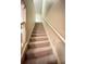 Carpeted staircase leading to the upper level at 904 Assembly Ct, Reunion, FL 34747