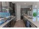 Modern kitchen with dark cabinets, quartz countertops, and stainless steel appliances at 10415 Austrina Oak Loop, Winter Garden, FL 34787