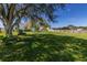 Spacious backyard with large oak tree and grassy area at 265 E Lake Shore Blvd, Kissimmee, FL 34744