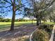 Landscaped backyard with lush greenery and mature trees at 1717 Clubhouse Cv, Haines City, FL 33844
